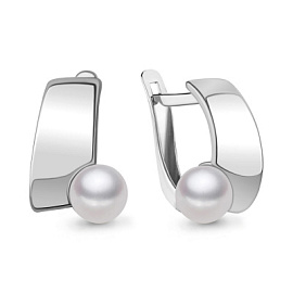 Серьги 49395.5 серебро